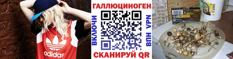 Галлюциногенные грибы Cubensis Реутов