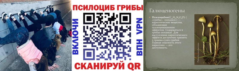 Псилоцибиновые грибы Psilocybine cubensis Реутов